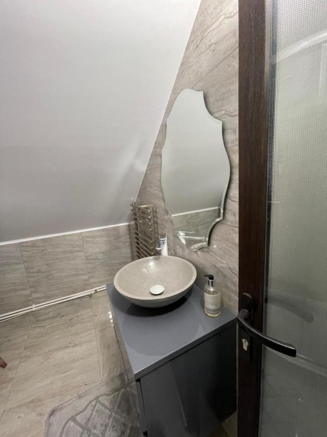 Apartelim Mînăstirea Humorului エクステリア 写真