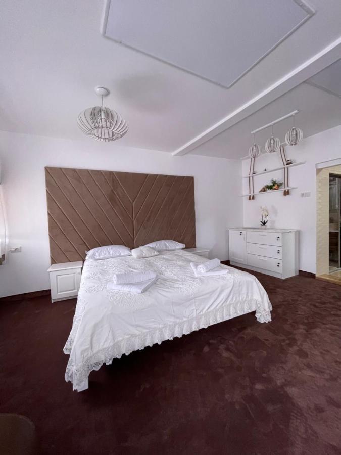 Apartelim Mînăstirea Humorului エクステリア 写真