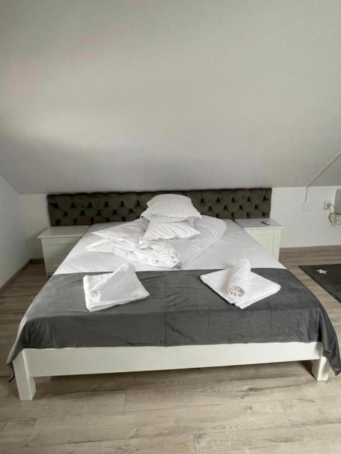 Apartelim Mînăstirea Humorului エクステリア 写真