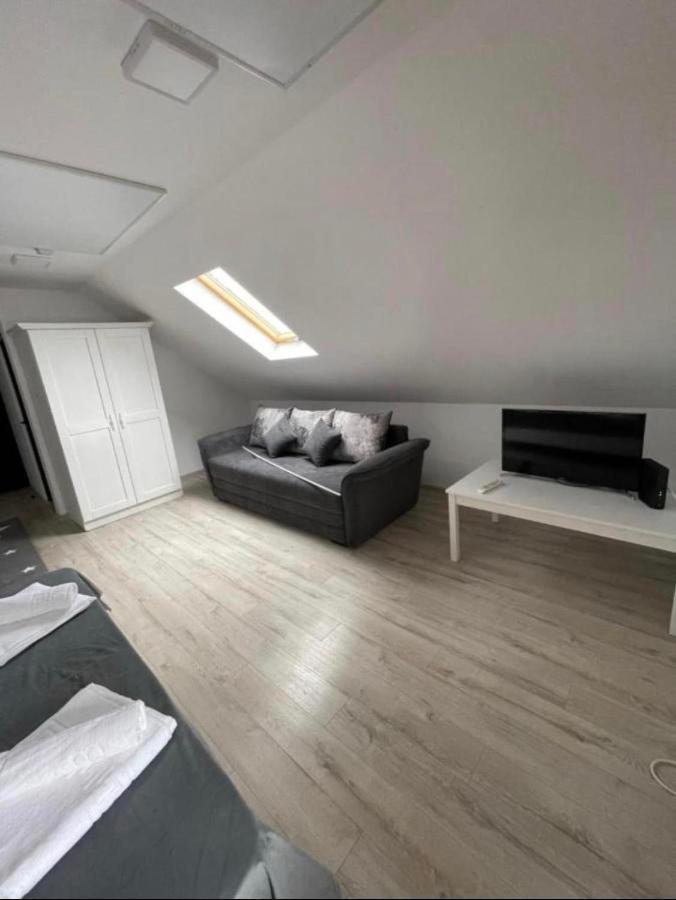 Apartelim Mînăstirea Humorului エクステリア 写真